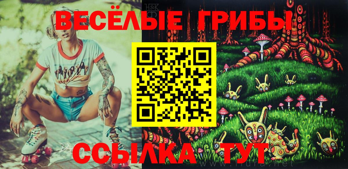 Галлюциногенные грибы мухоморы Новочеркасск